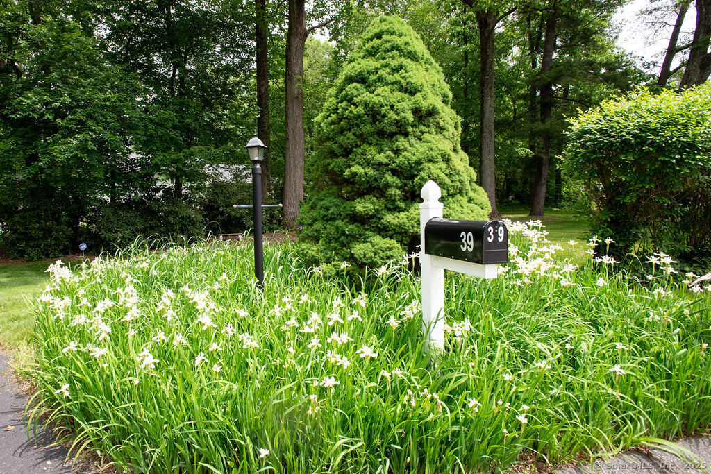 39 Whiffle Tree Lane