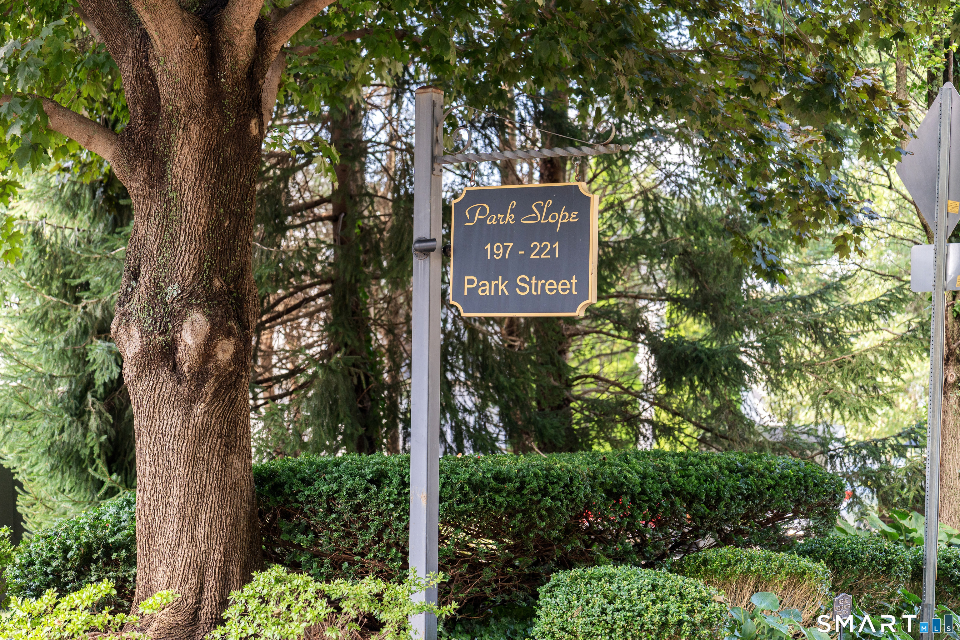 197 Park Street Unit: 197