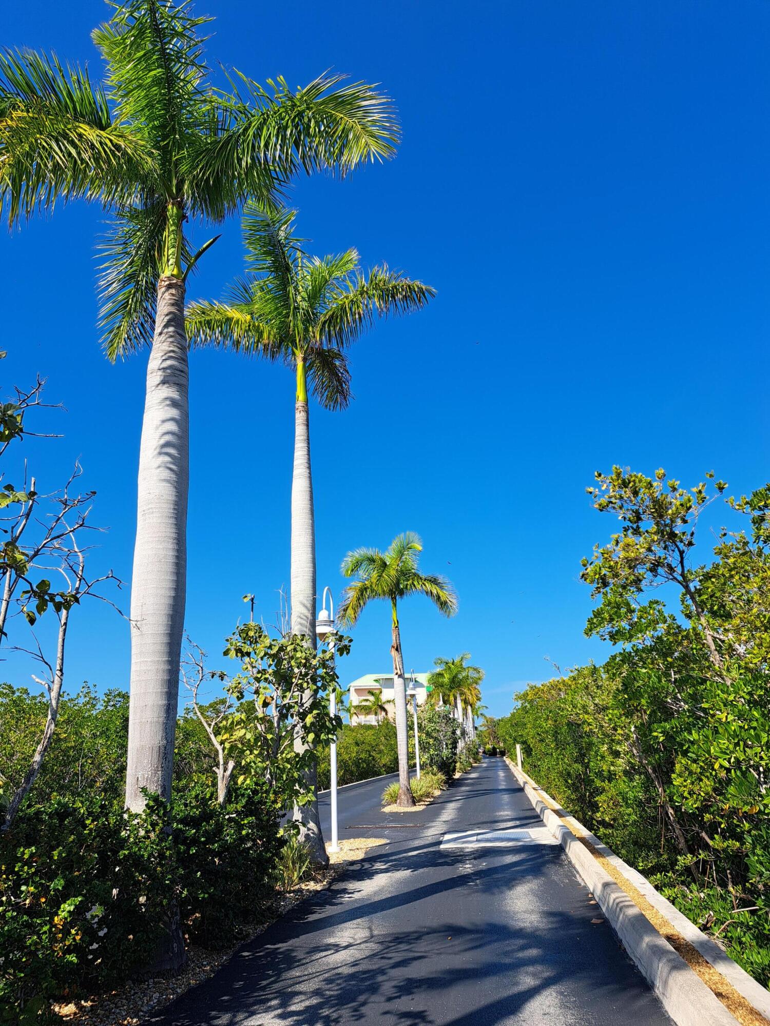 5607 College Road Unit: A101