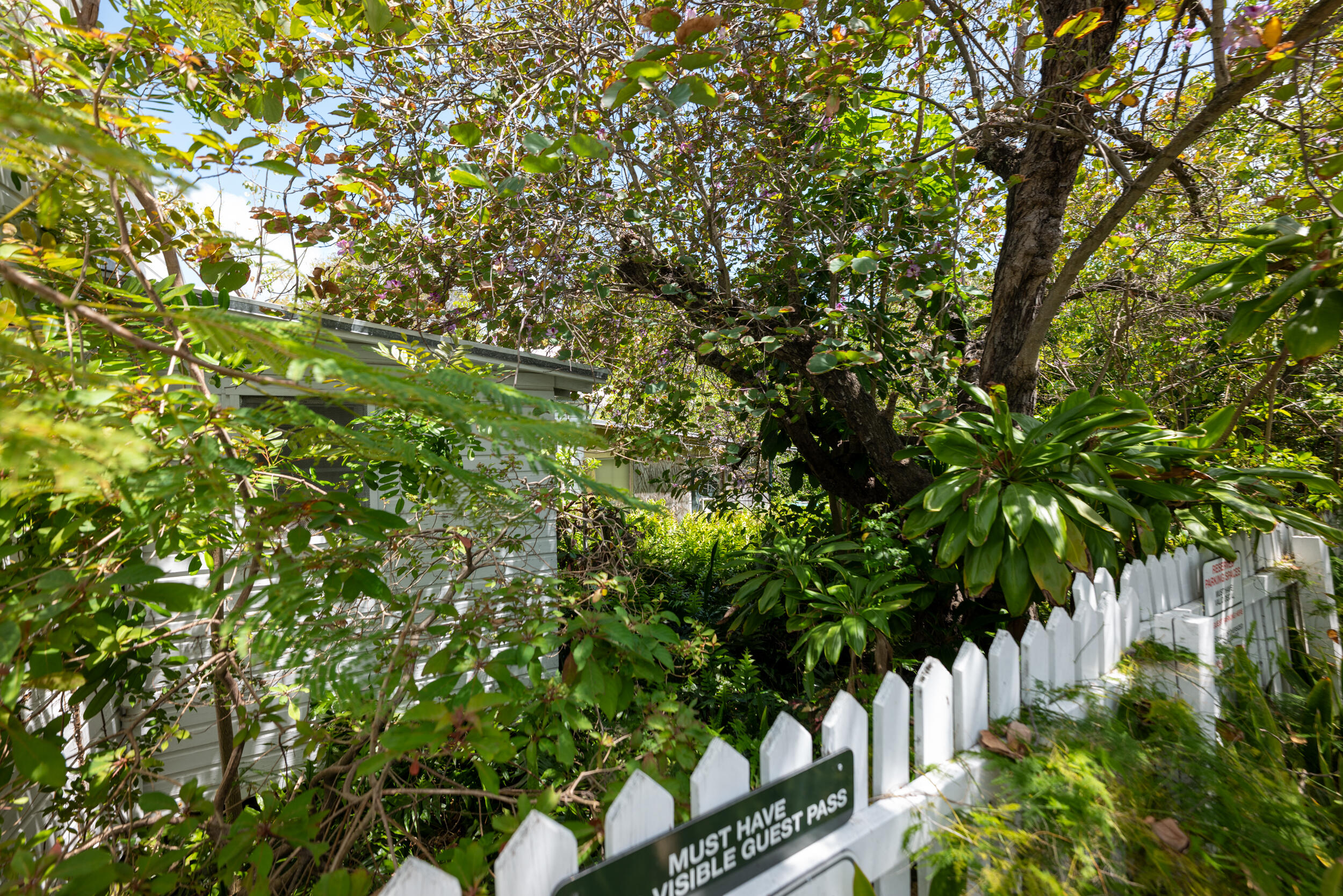 314 Southard Street