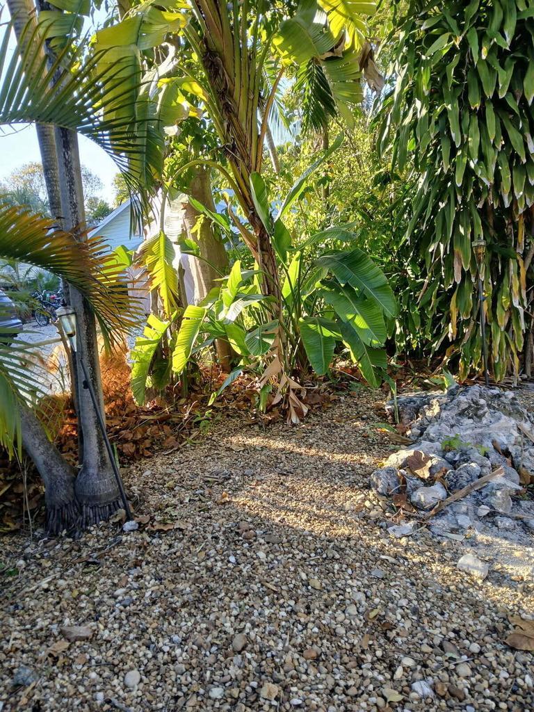 1213 Truman Avenue Unit: C