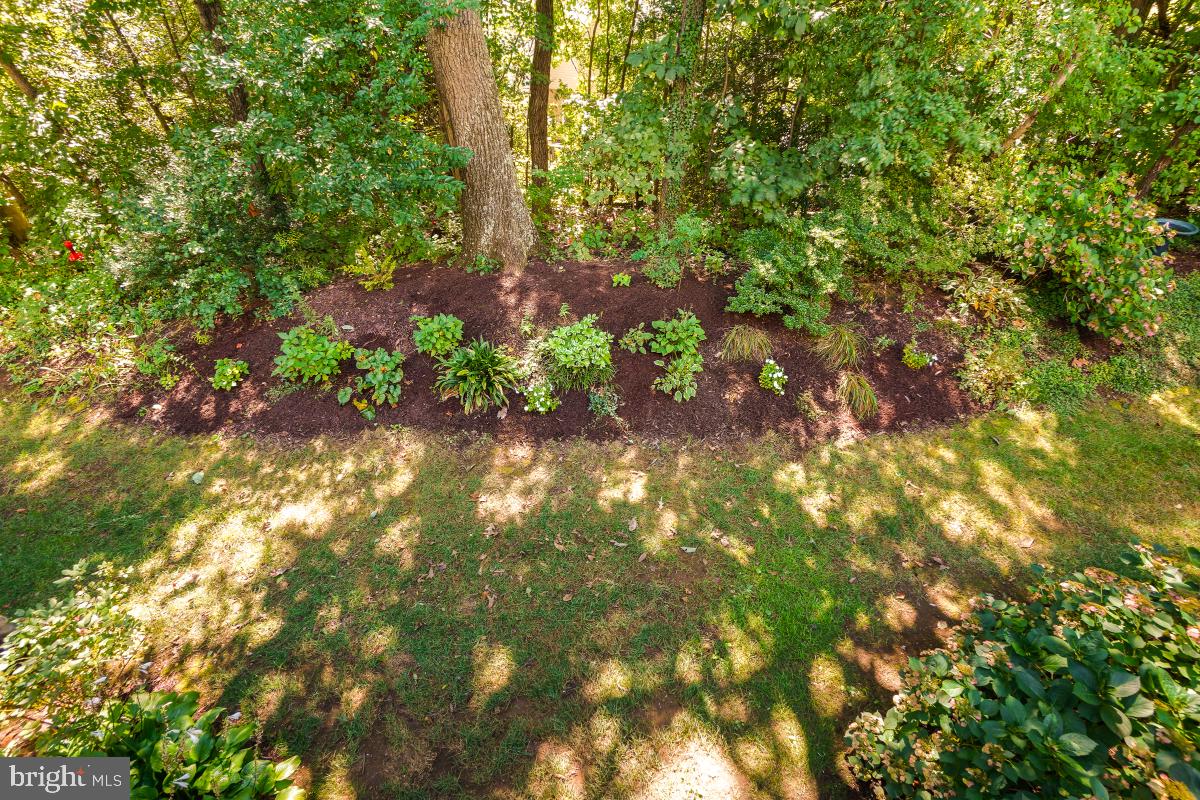 633 ANDREW HILL ROAD