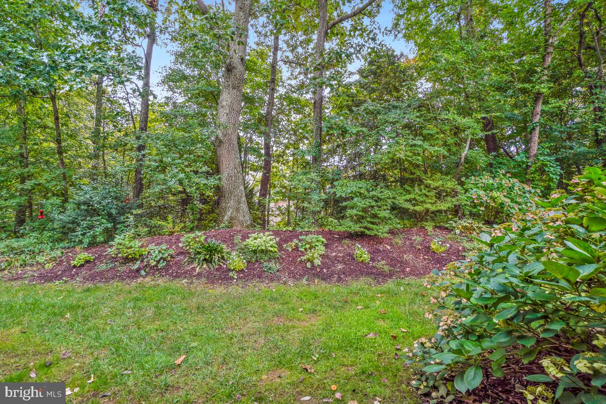 633 ANDREW HILL ROAD