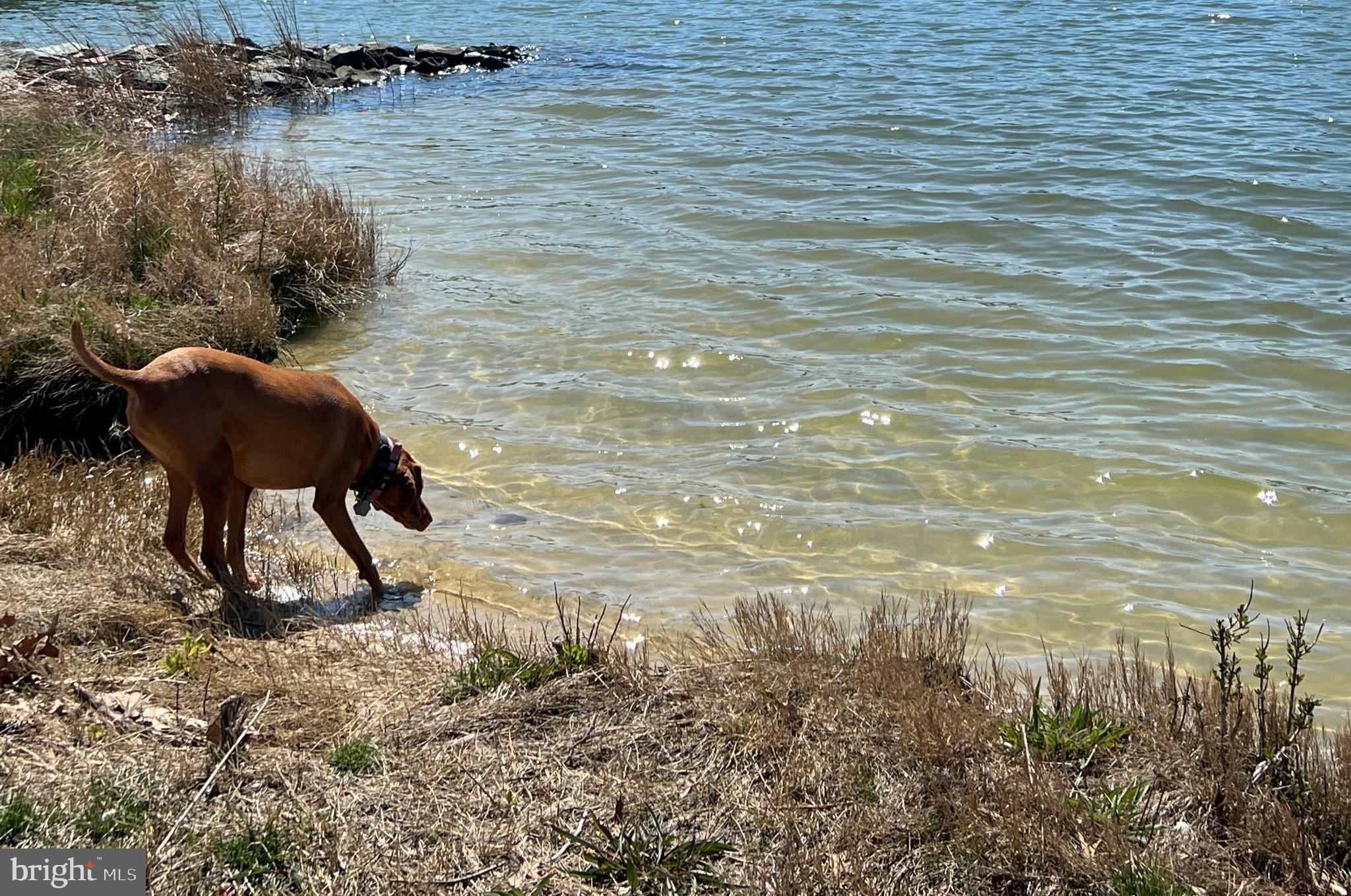 6398 HOPKINS NECK ROAD