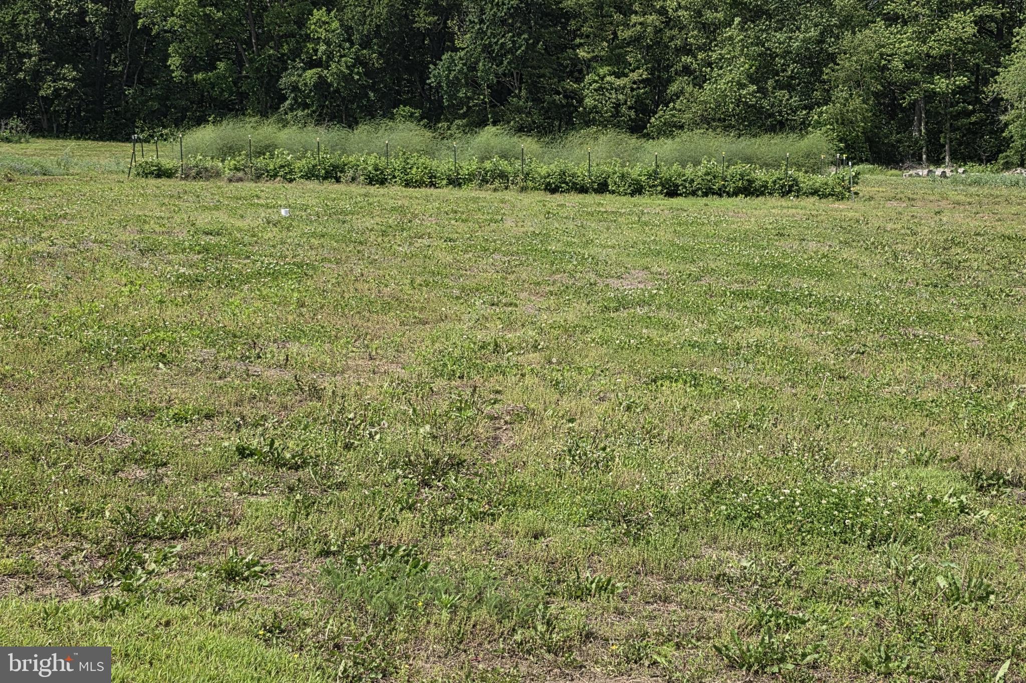 29316 DOGWOOD VIEW RD