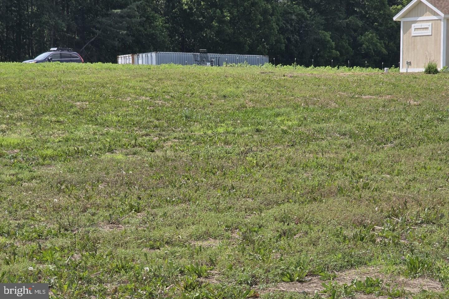 29316 DOGWOOD VIEW RD