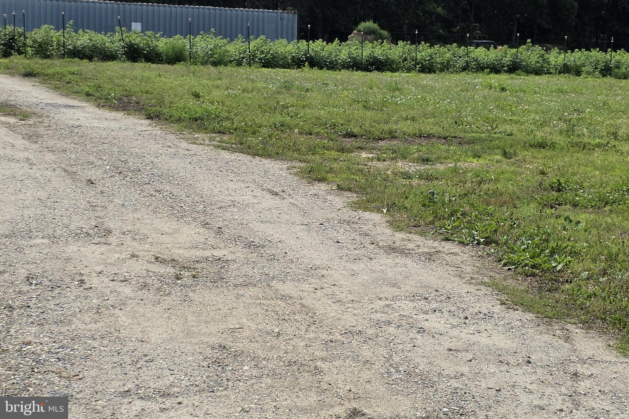 29316 DOGWOOD VIEW RD