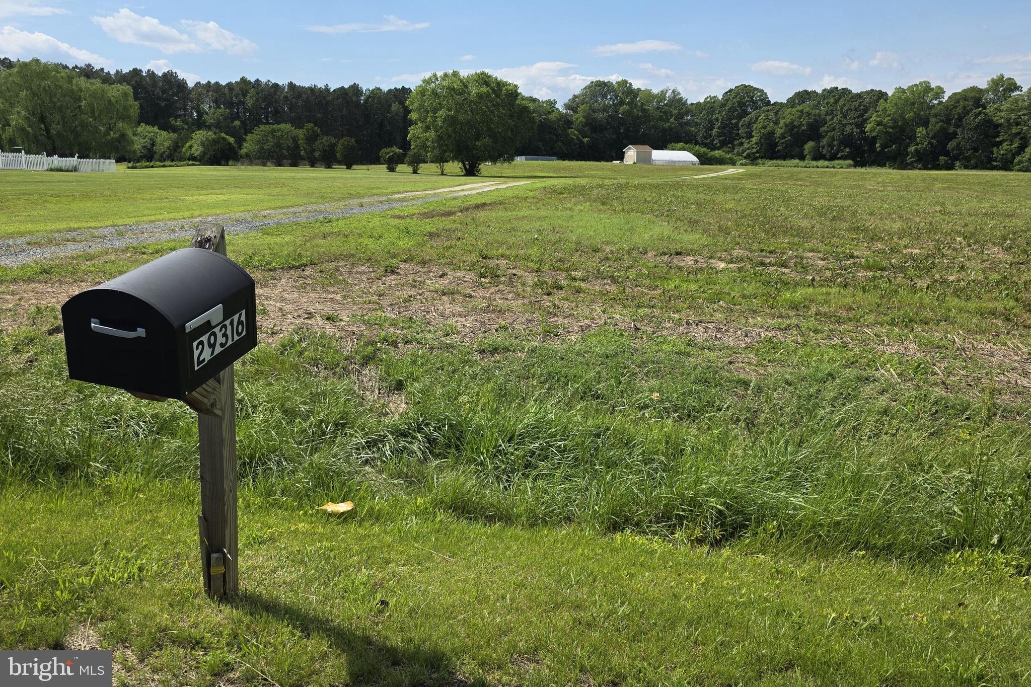 29316 DOGWOOD VIEW RD