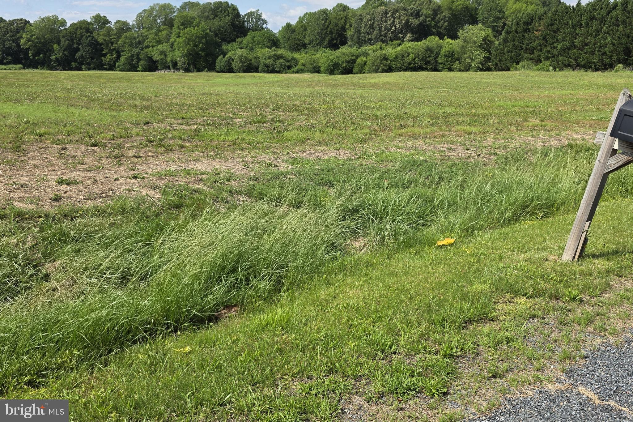 29316 DOGWOOD VIEW RD