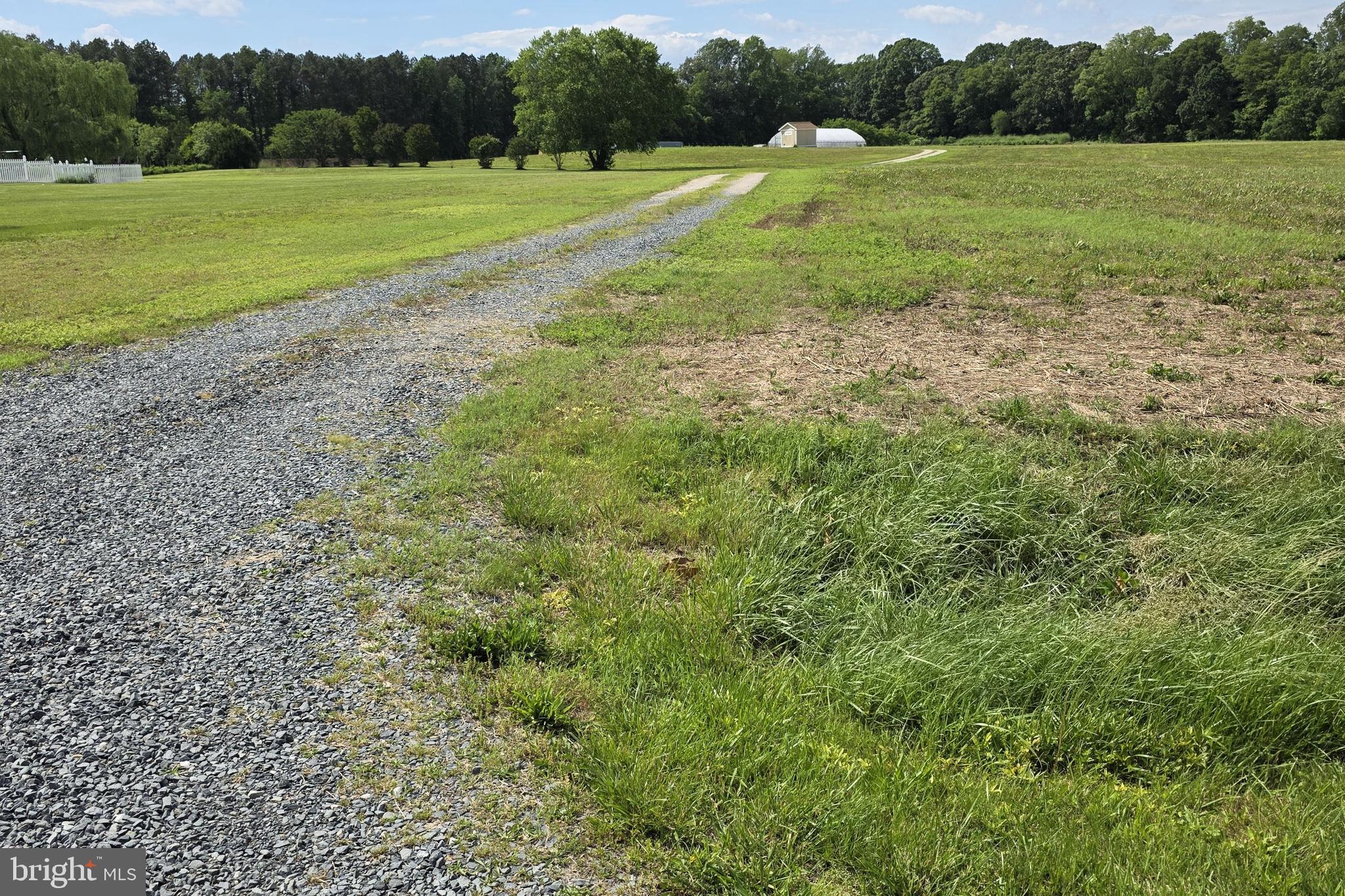 29316 DOGWOOD VIEW RD