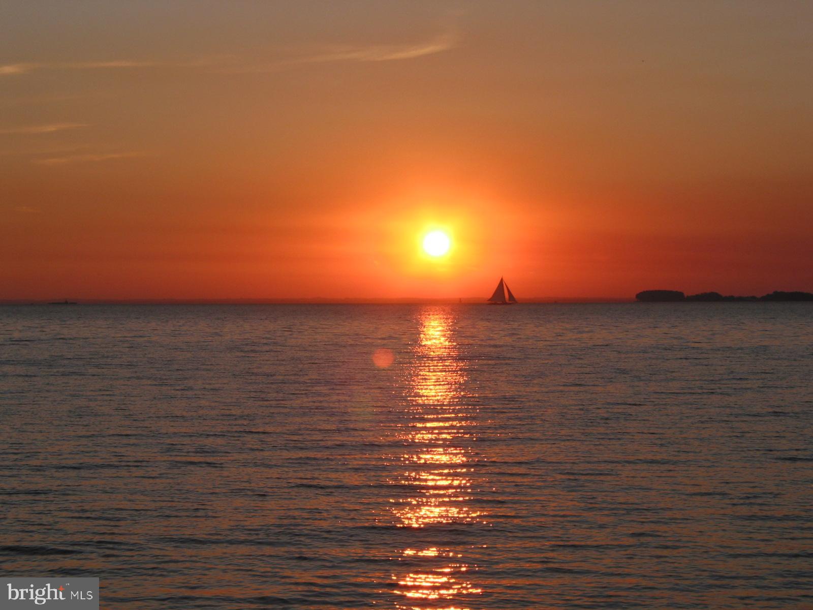 8781 TILGHMAN ISLAND ROAD