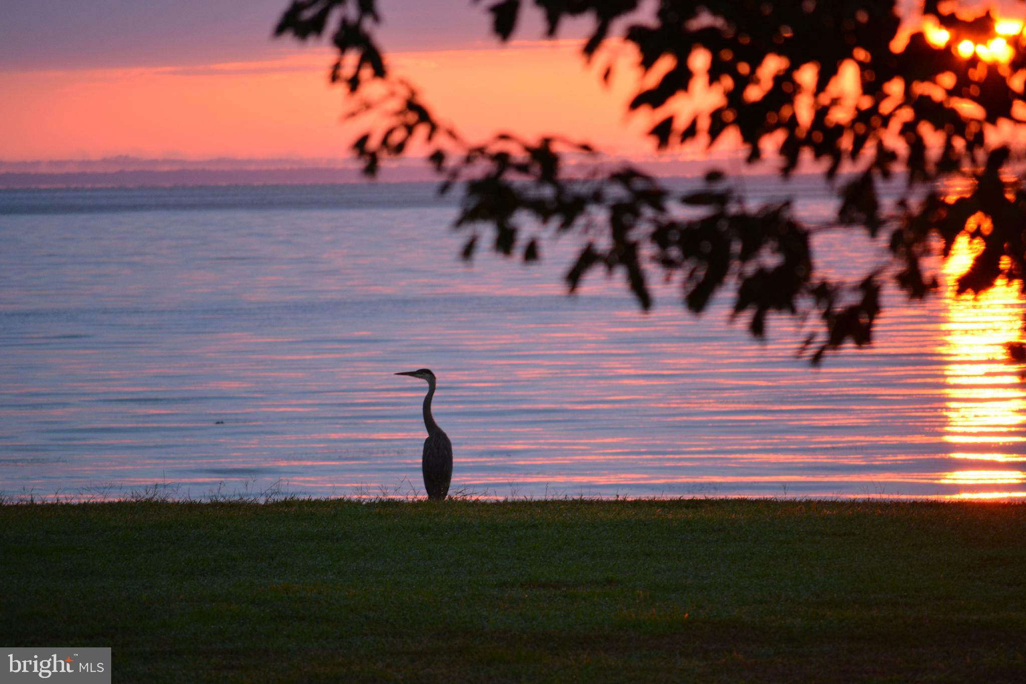 8781 TILGHMAN ISLAND ROAD