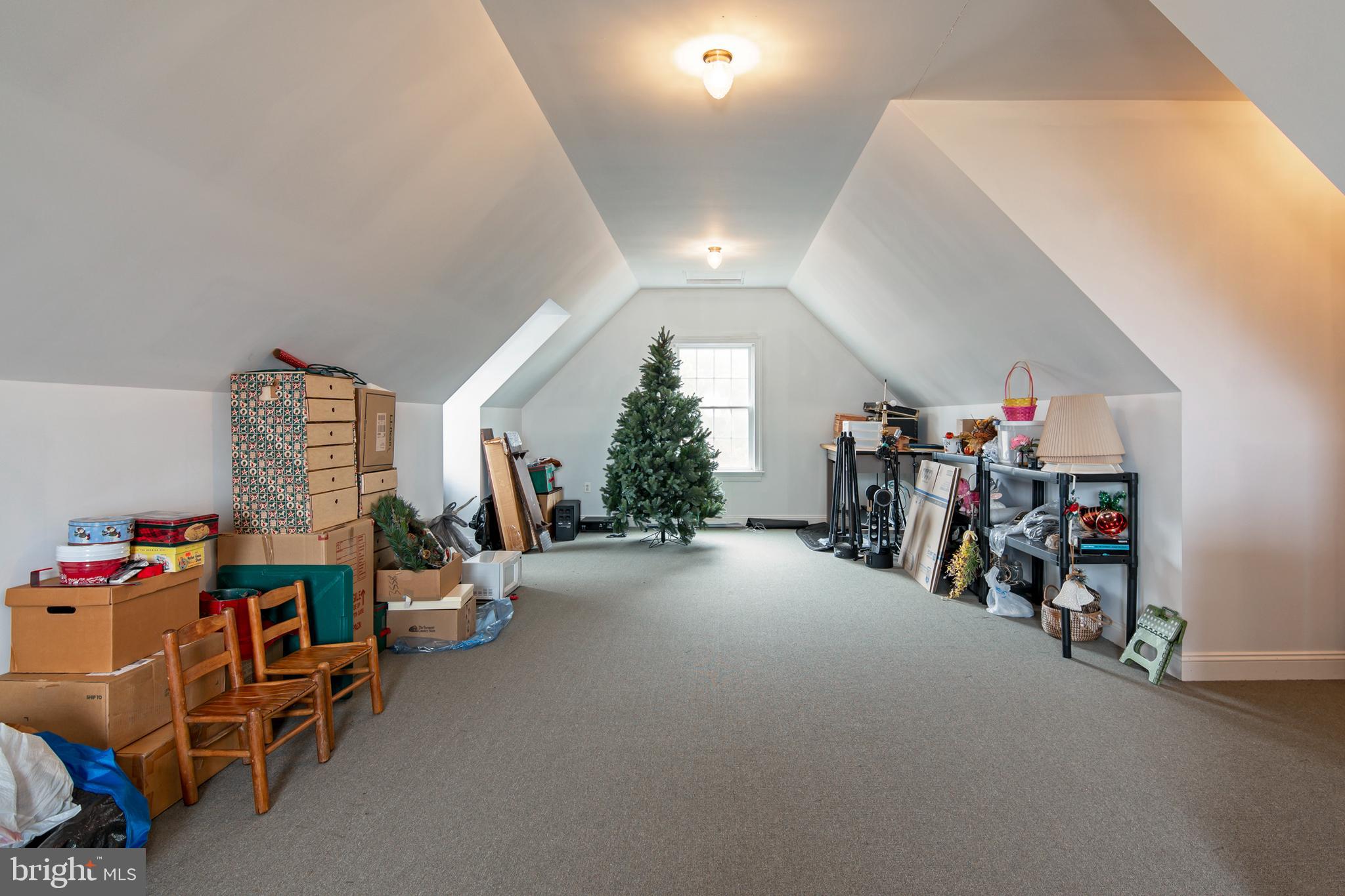 8781 TILGHMAN ISLAND ROAD