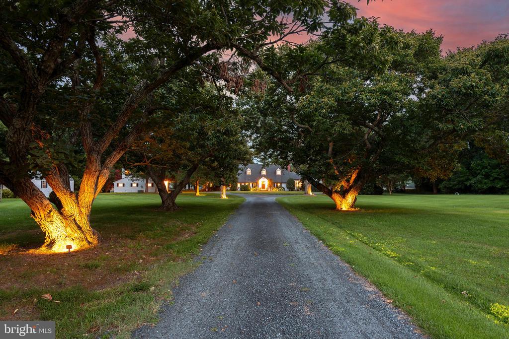 Large estate home at the end of a tree-lined driveway, with illuminated trees and entrance at dusk.