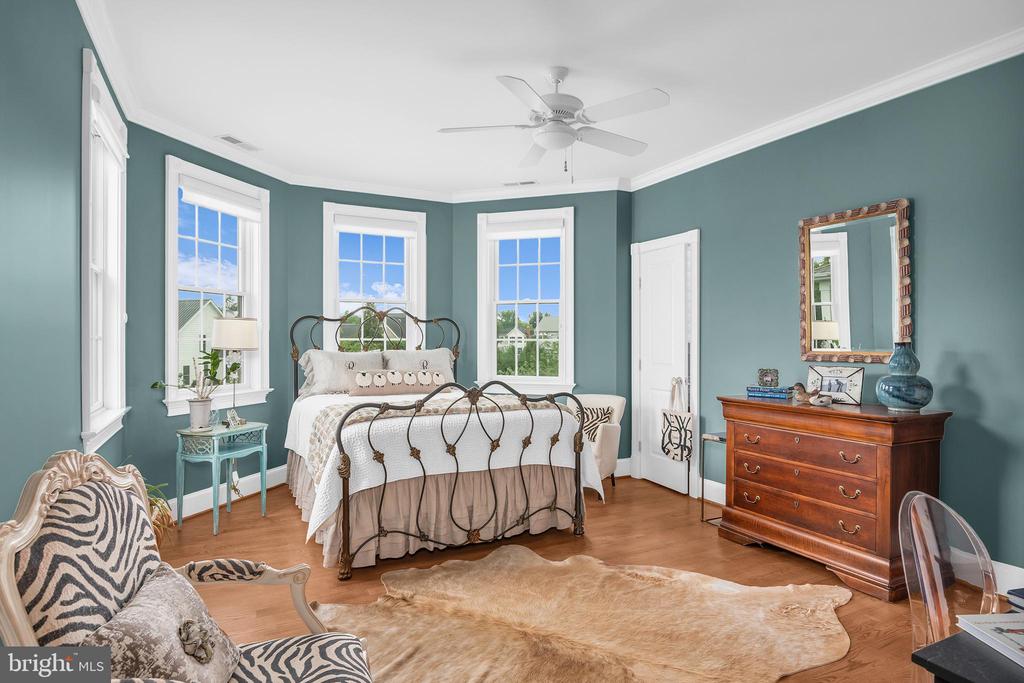 Bedroom with teal walls, a dark metal bed, three tall windows, and a zebra-patterned armchair.