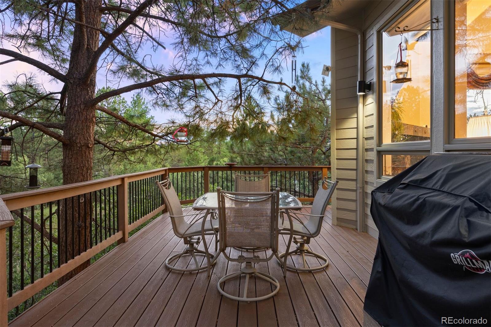 867 Homestake Court