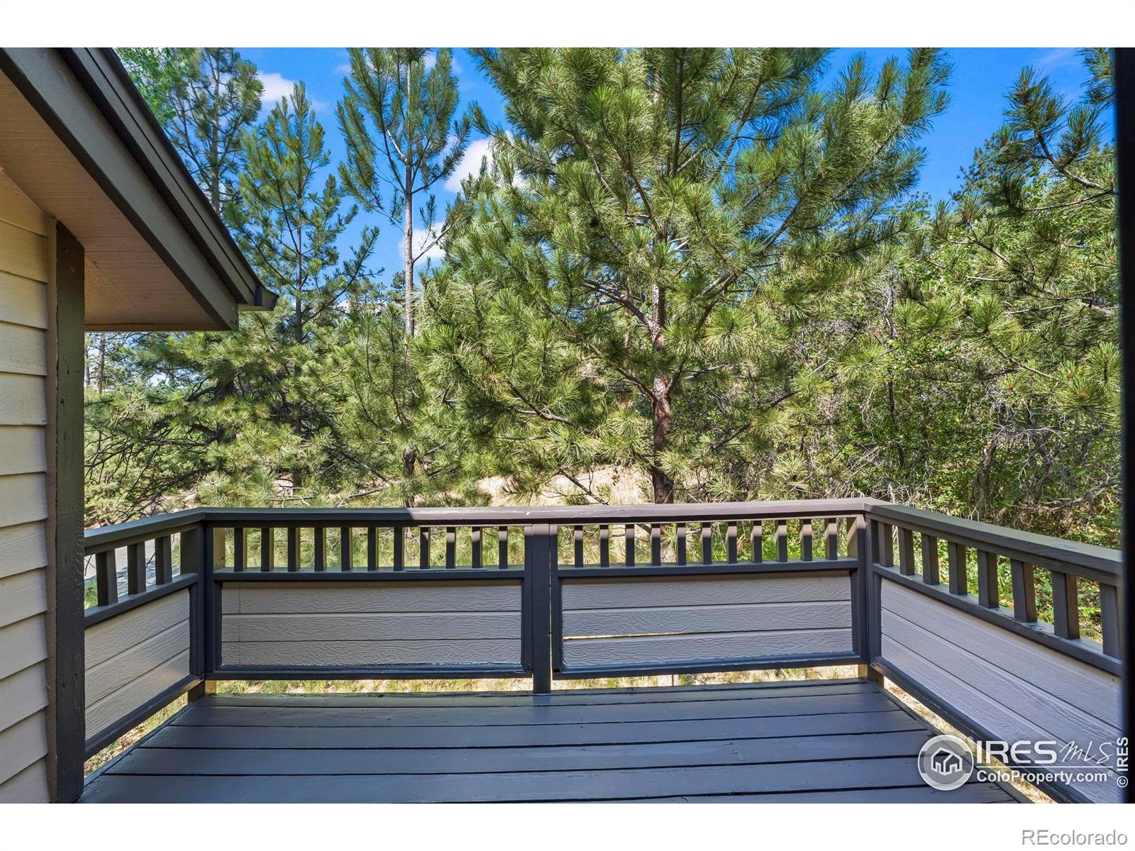 4219 Morning Star Drive