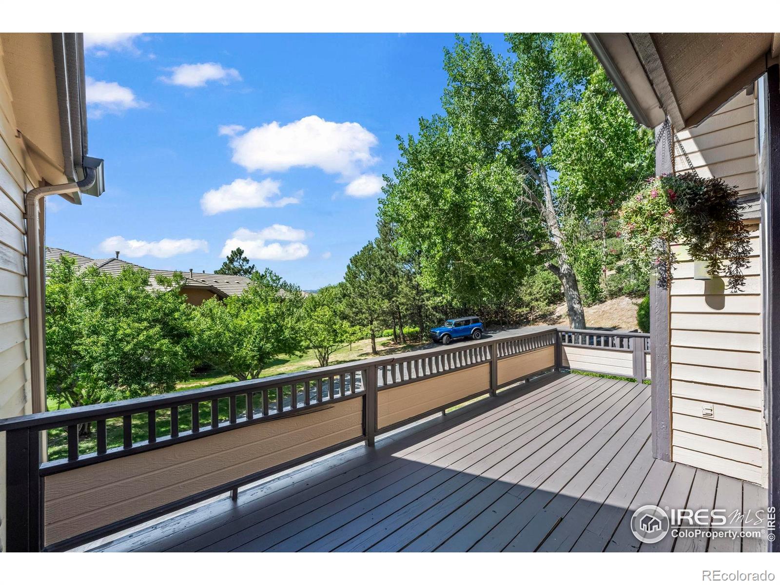 4219 Morning Star Drive