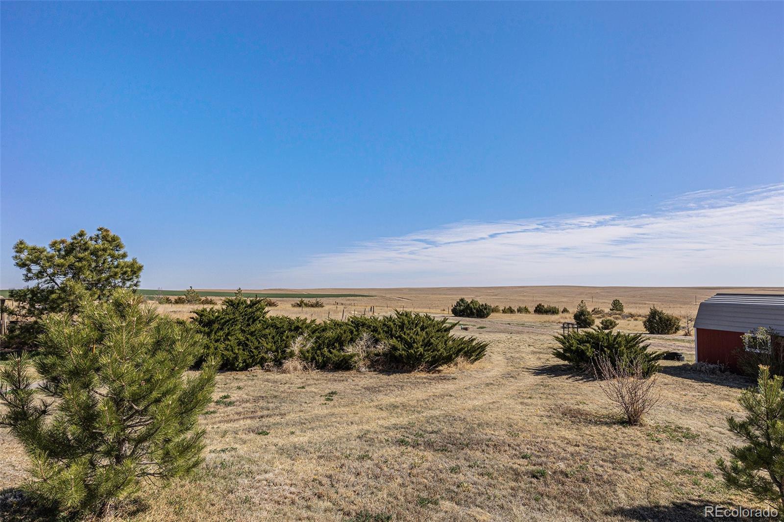 Open grassy acreage with scattered pine trees, flat fields, and a red outbuilding.