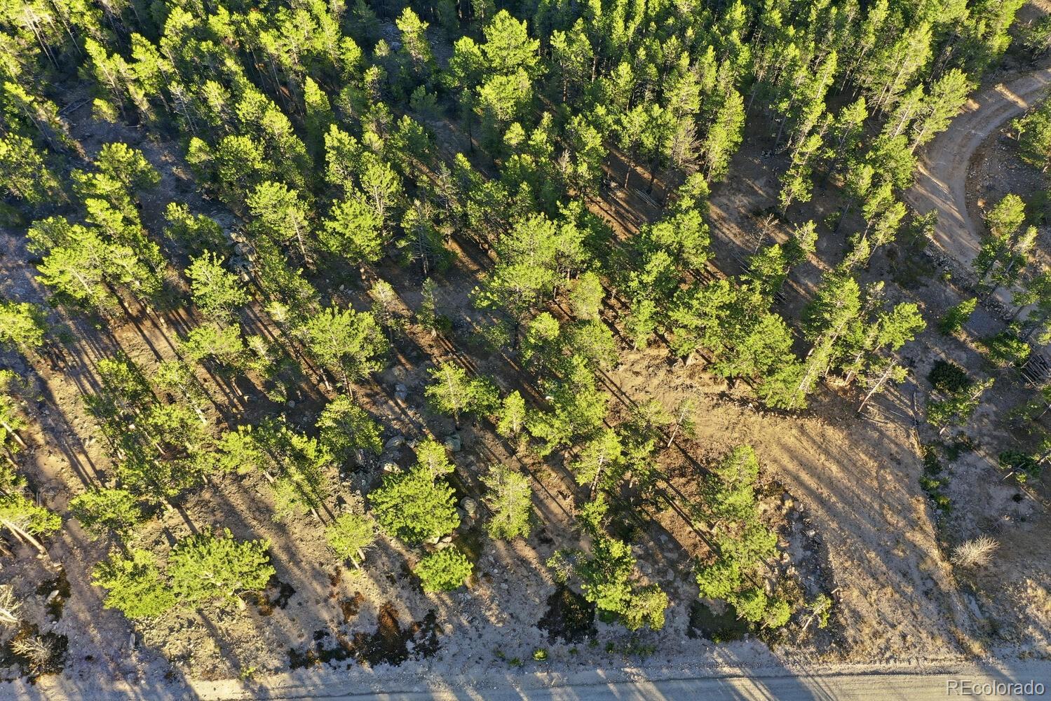 13 Paradise Valley Parkway