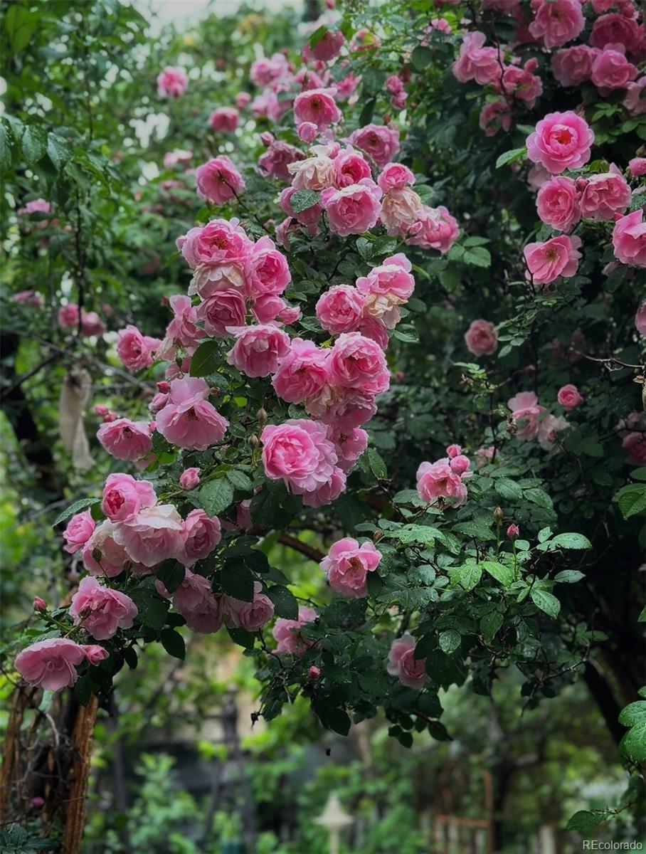 4615 S Santa Fe Drive