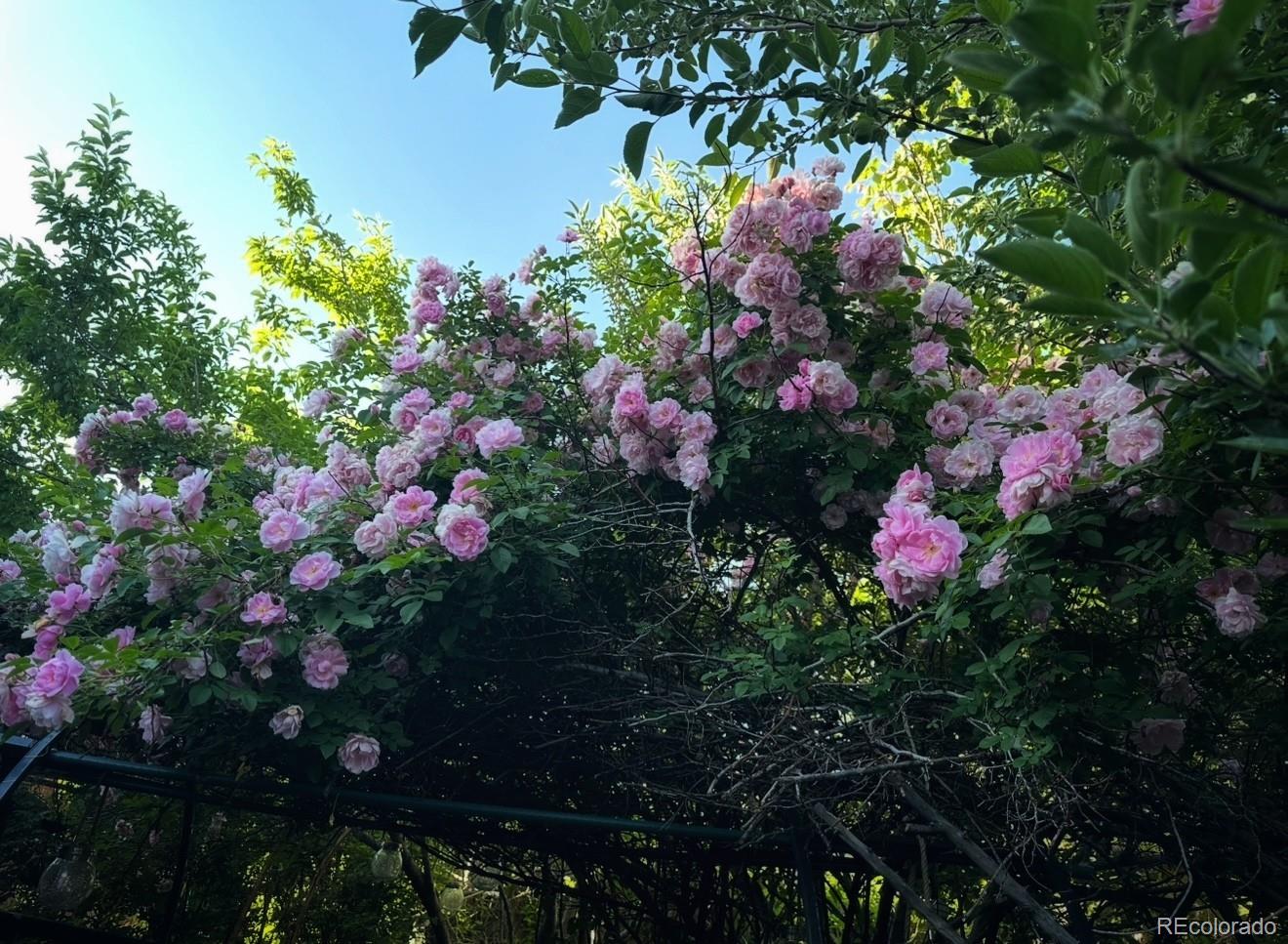 4615 S Santa Fe Drive