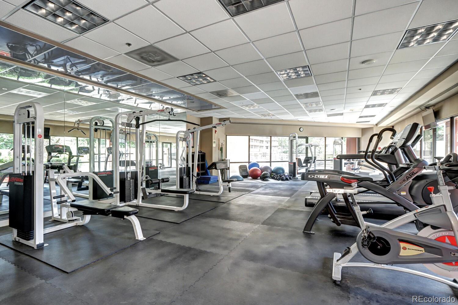 100 Park Avenue W Unit: 204