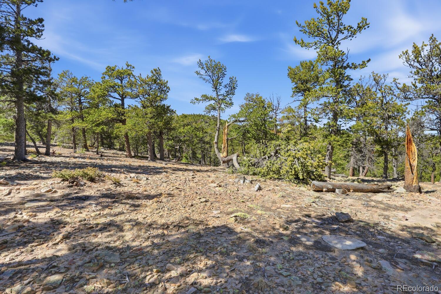 33149 Janelle Circle