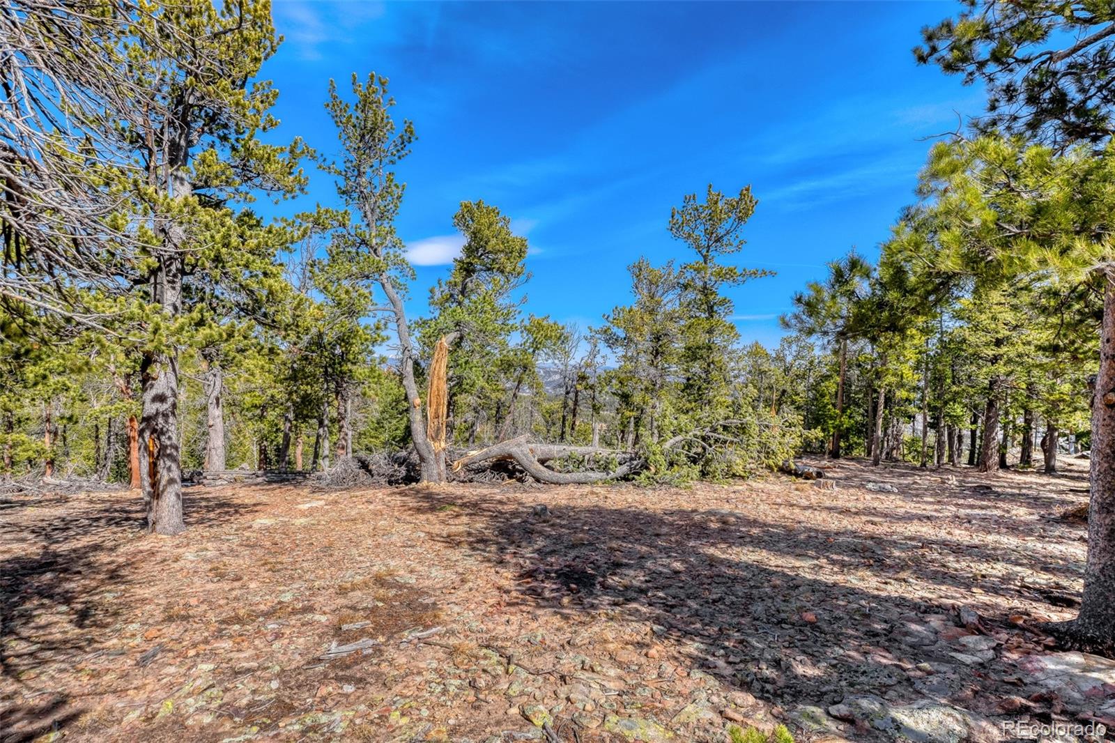 33149 Janelle Circle