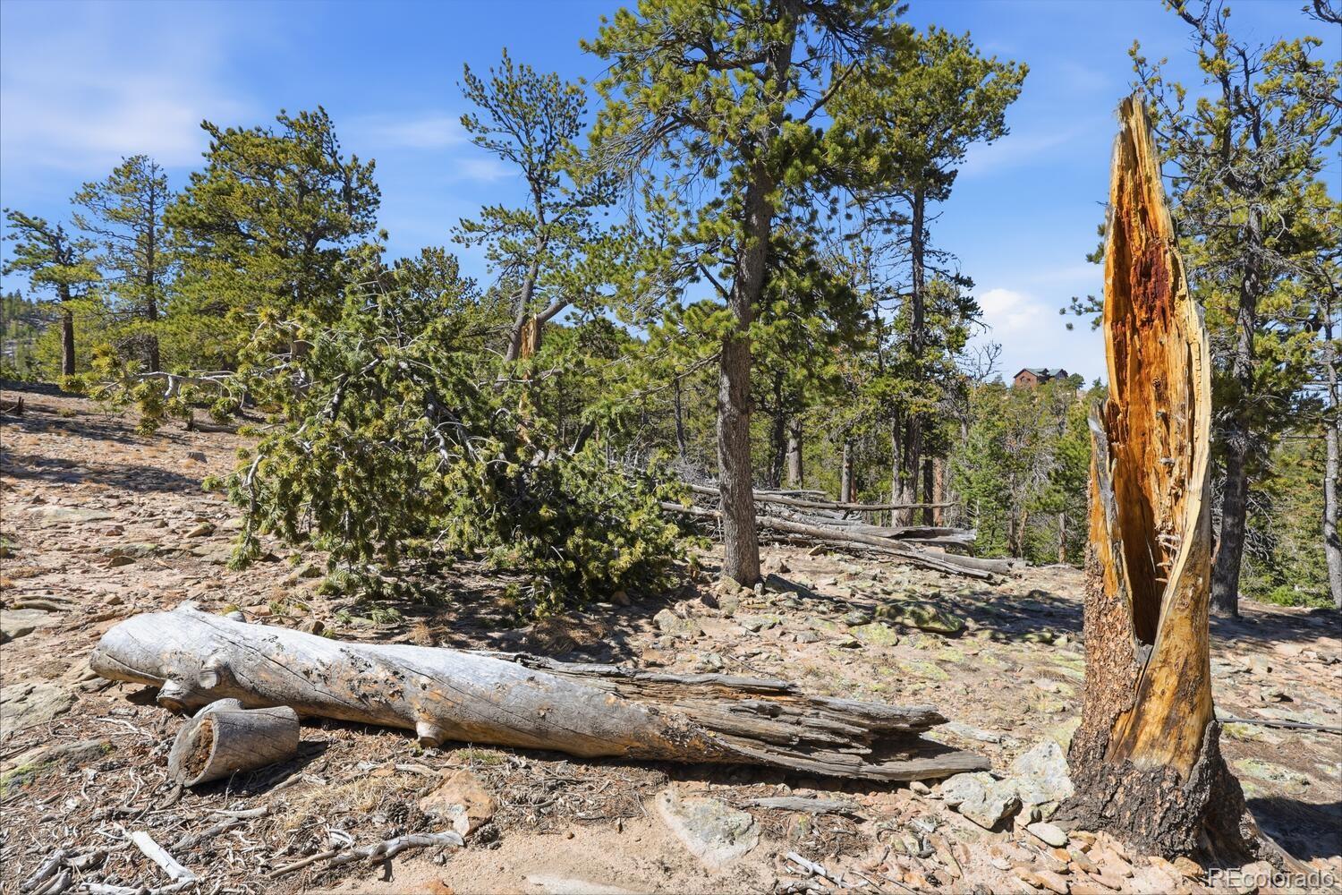 33149 Janelle Circle