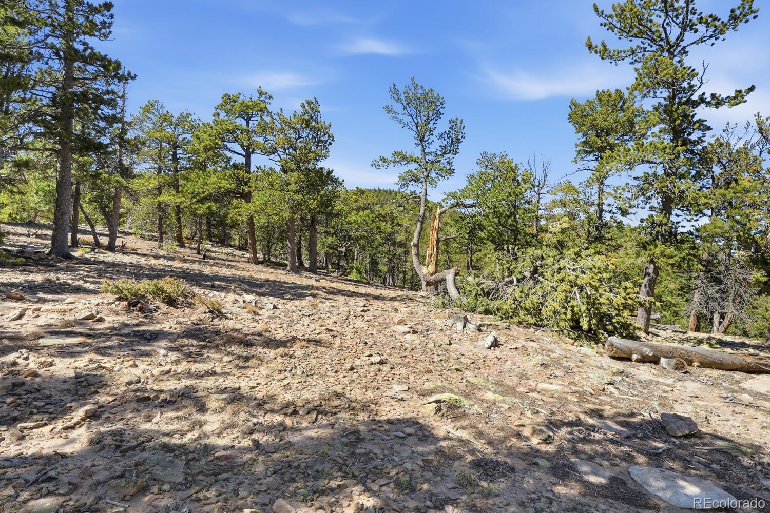 33149 Janelle Circle