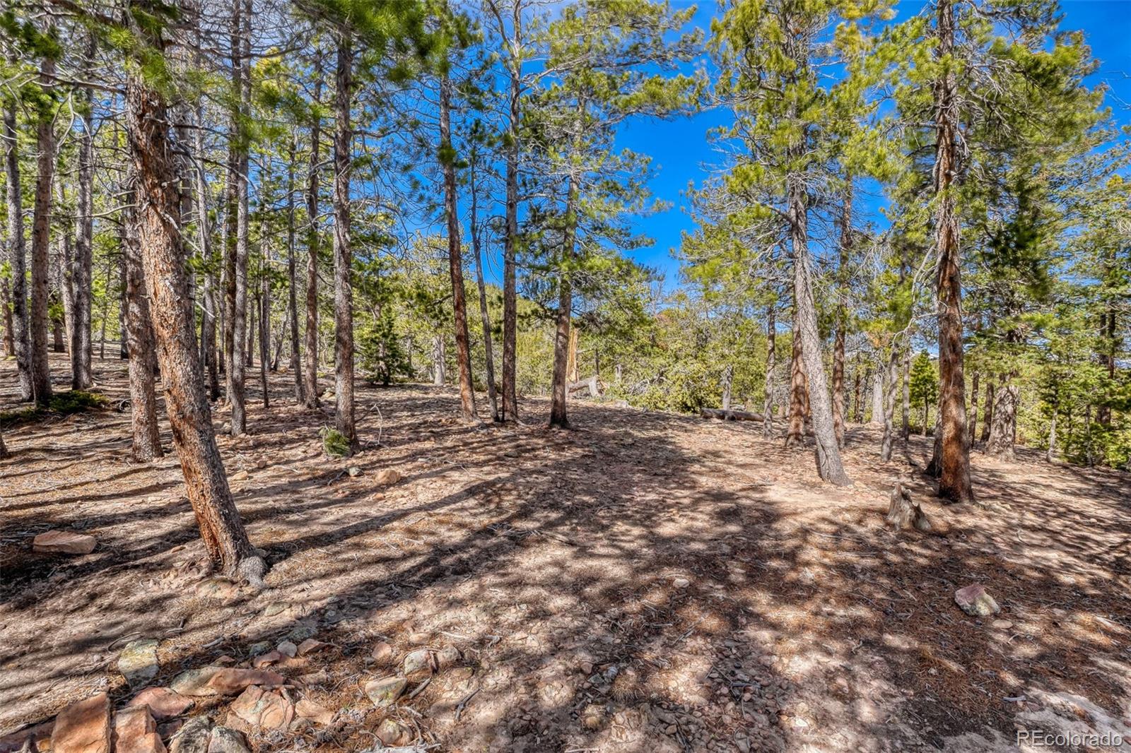 33149 Janelle Circle