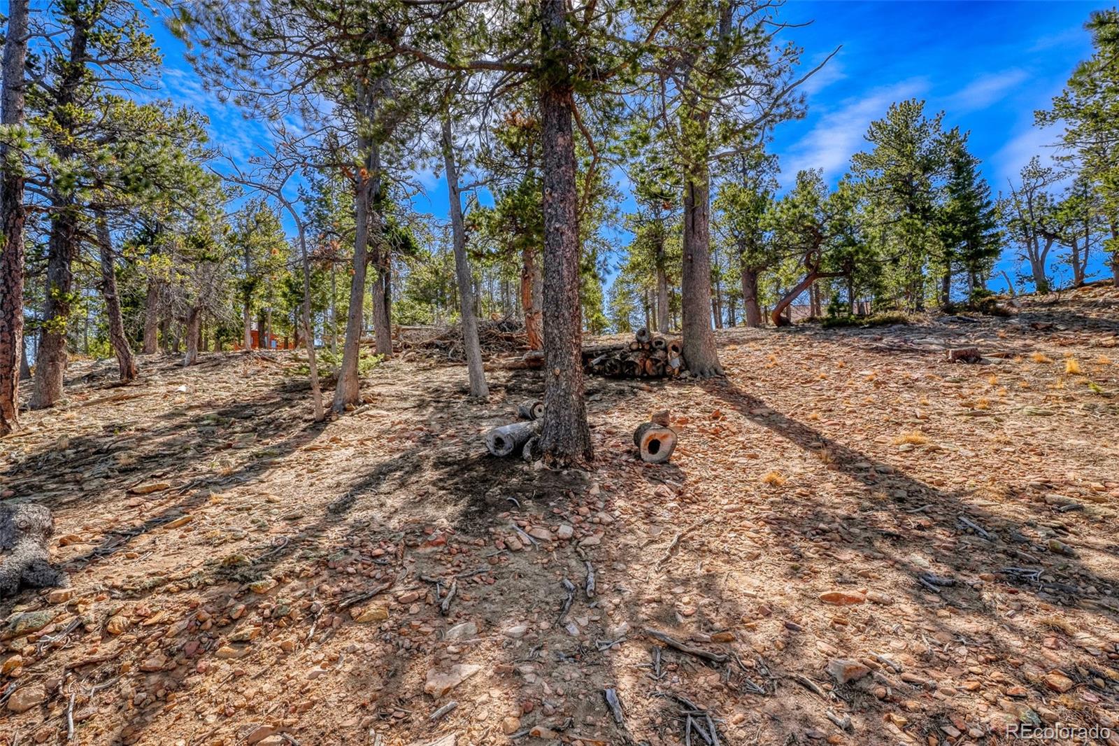 33149 Janelle Circle