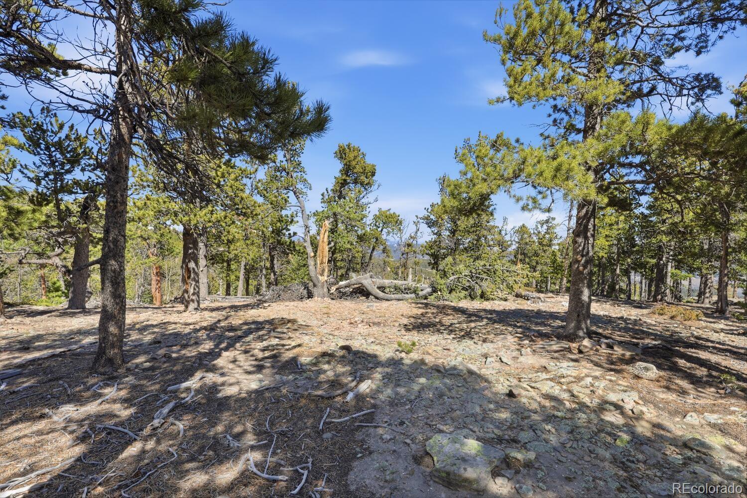 33149 Janelle Circle