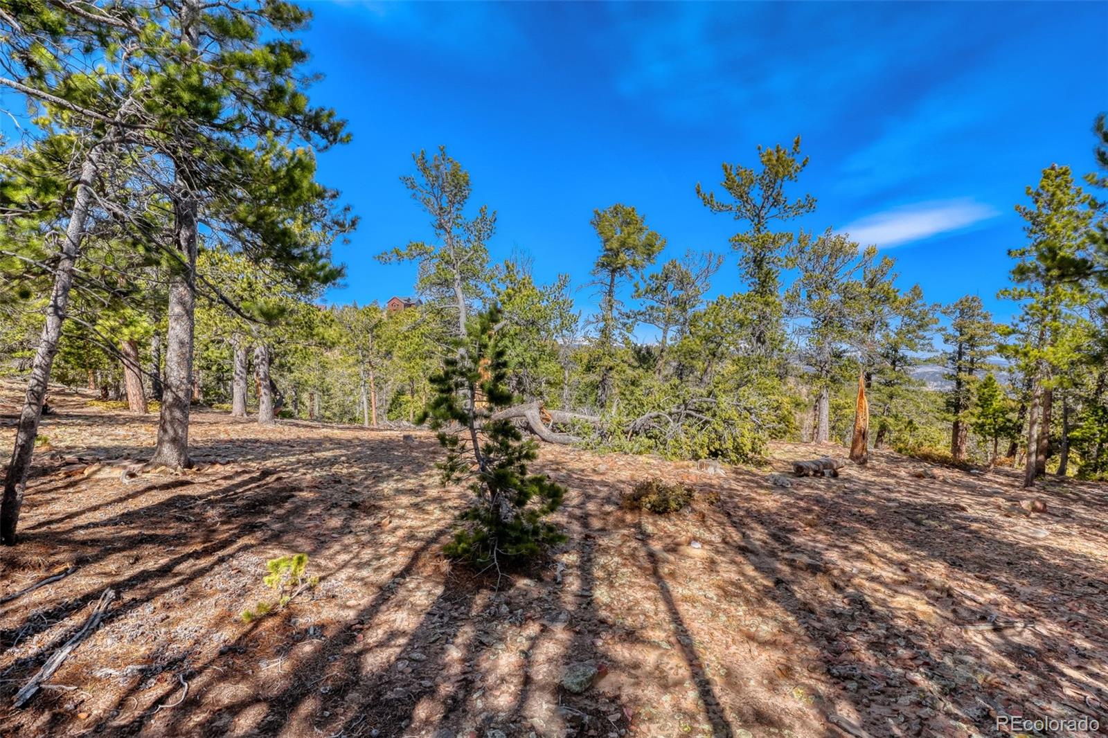 33149 Janelle Circle