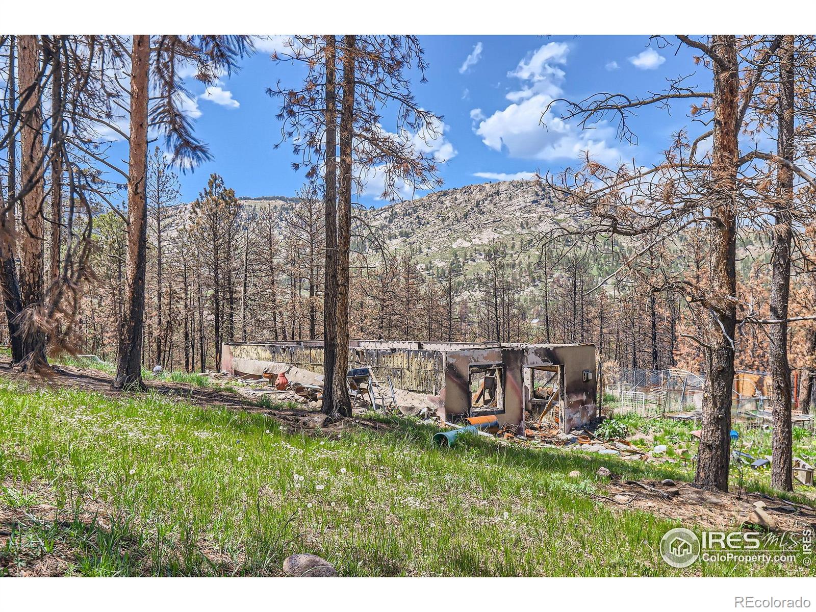 1448 Spruce Mountain Drive