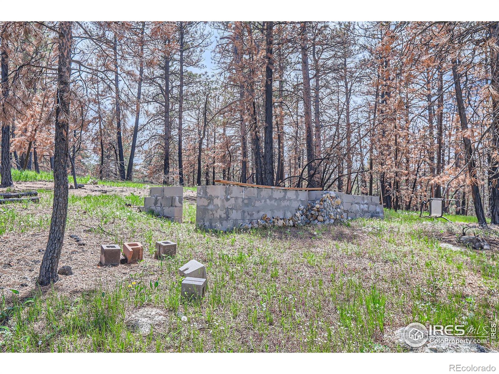 1448 Spruce Mountain Drive