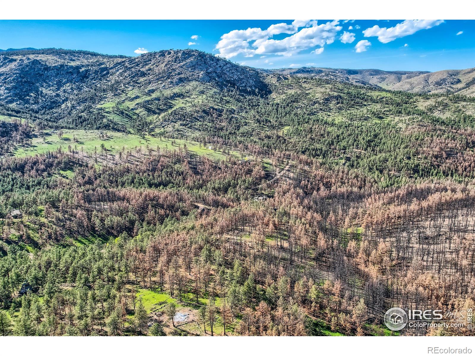 1448 Spruce Mountain Drive