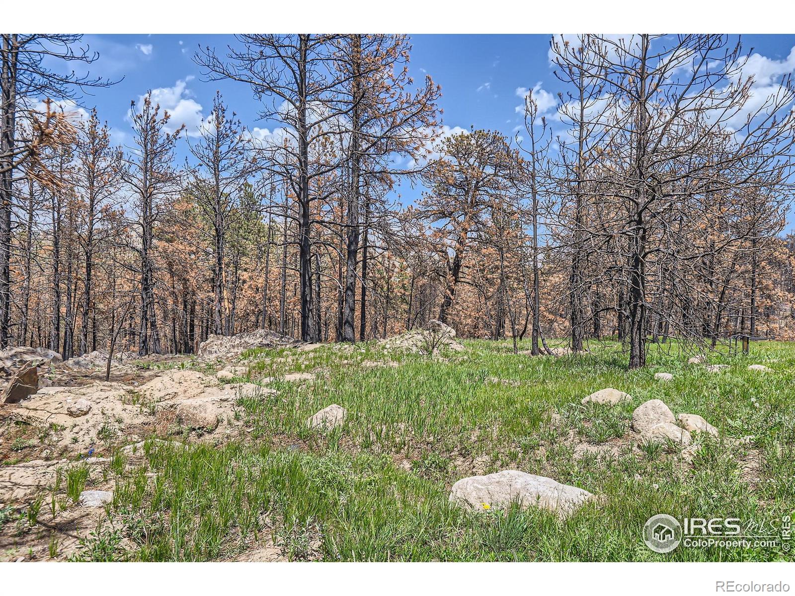 1448 Spruce Mountain Drive