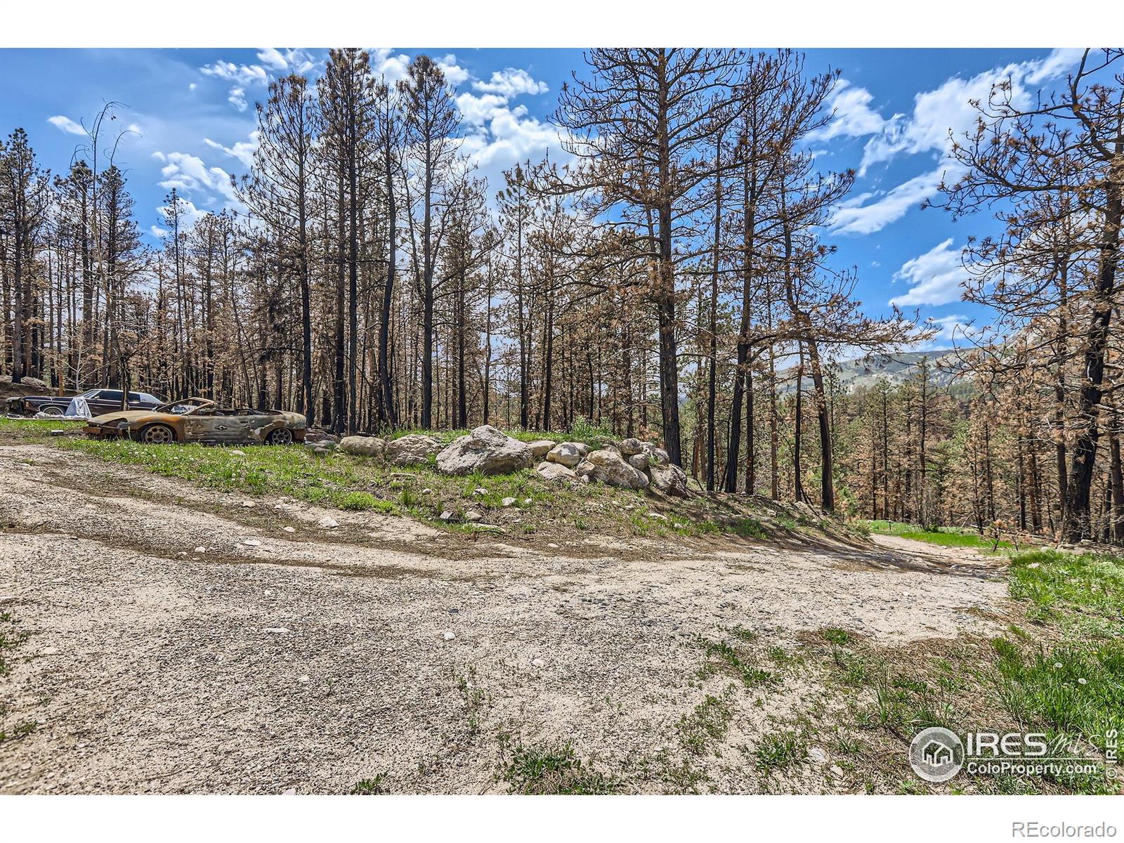 1448 Spruce Mountain Drive