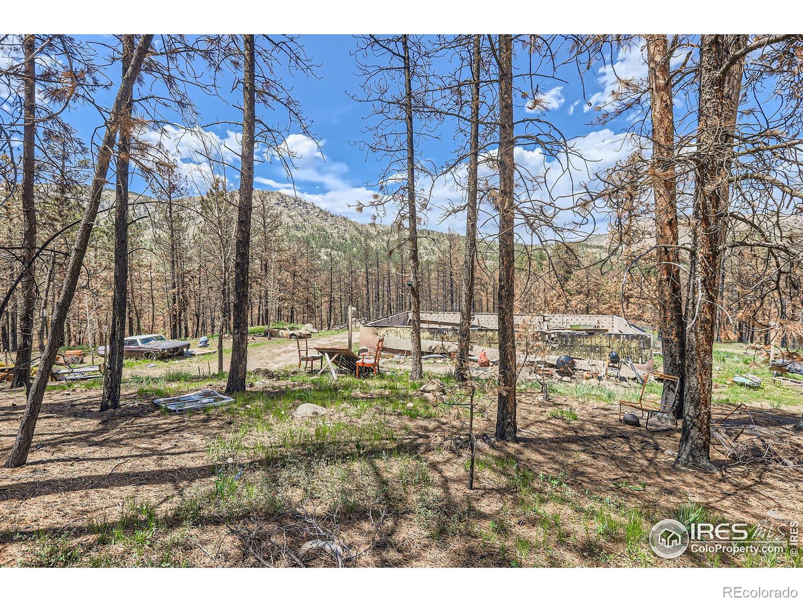 1448 Spruce Mountain Drive