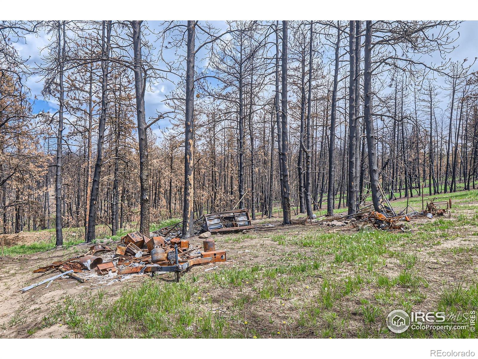 1448 Spruce Mountain Drive