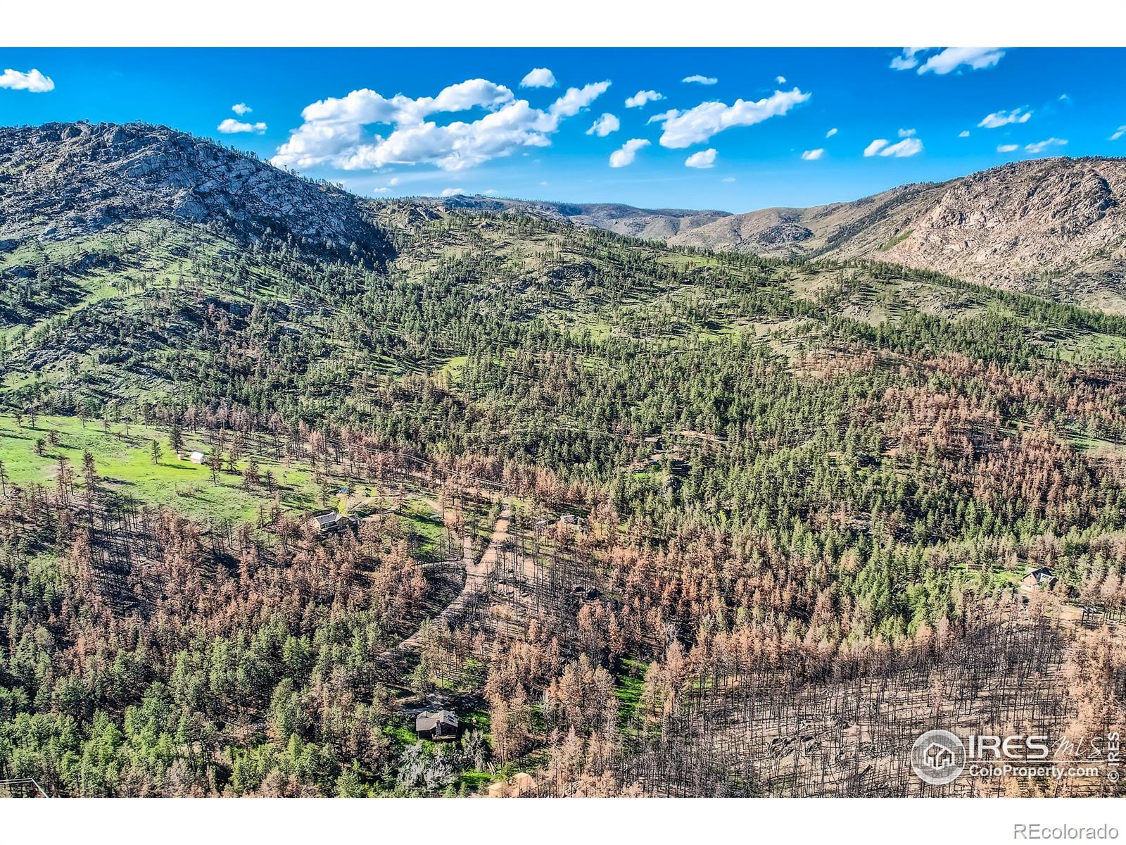 1448 Spruce Mountain Drive