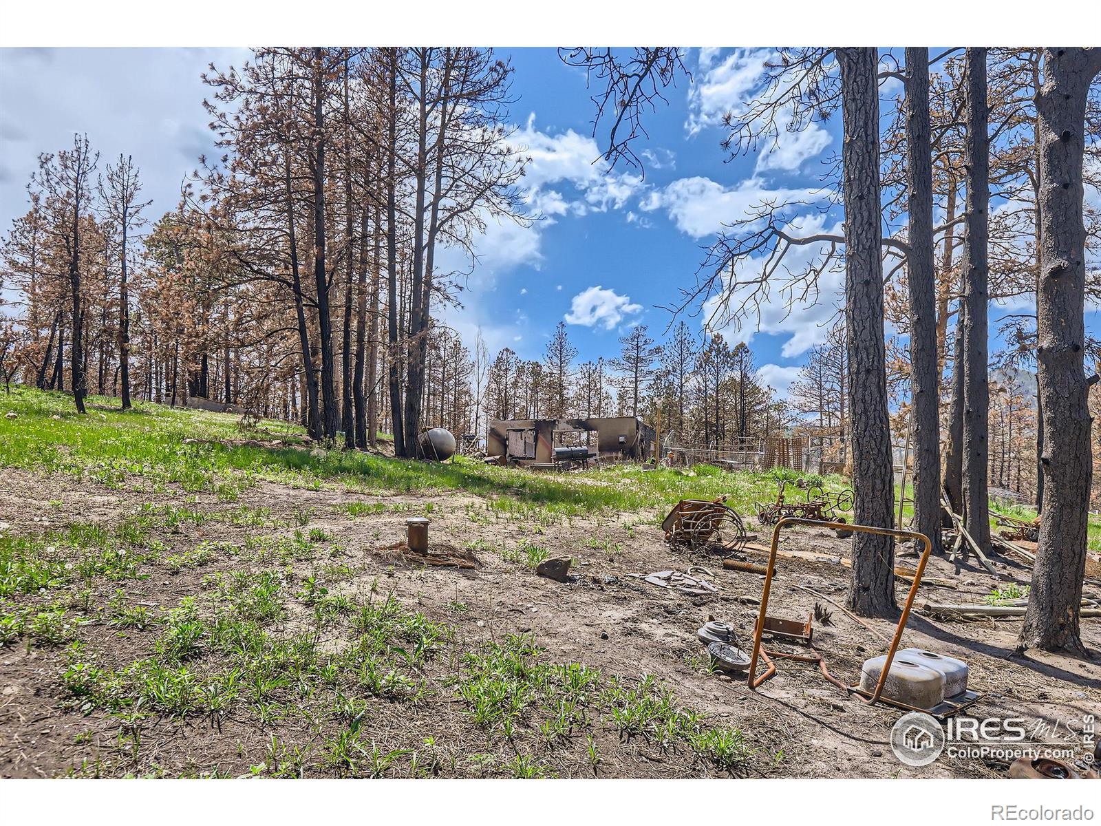 1448 Spruce Mountain Drive