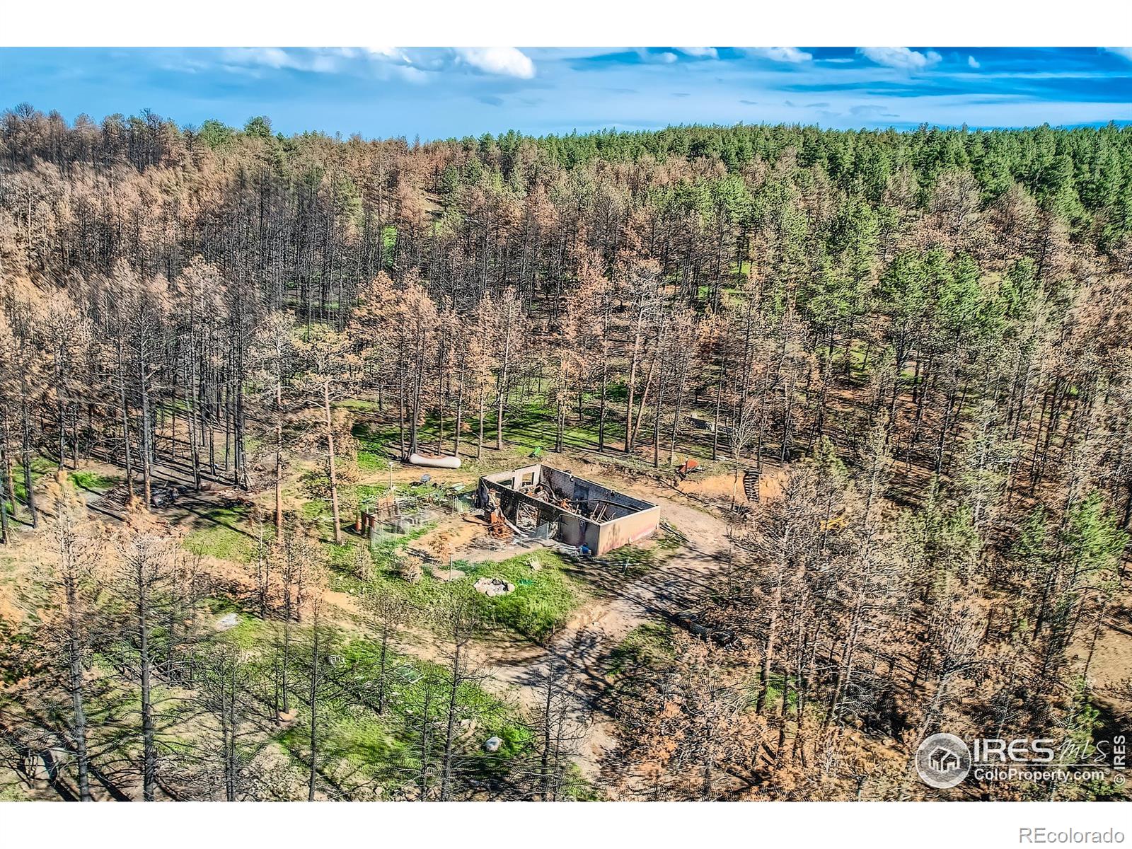 1448 Spruce Mountain Drive