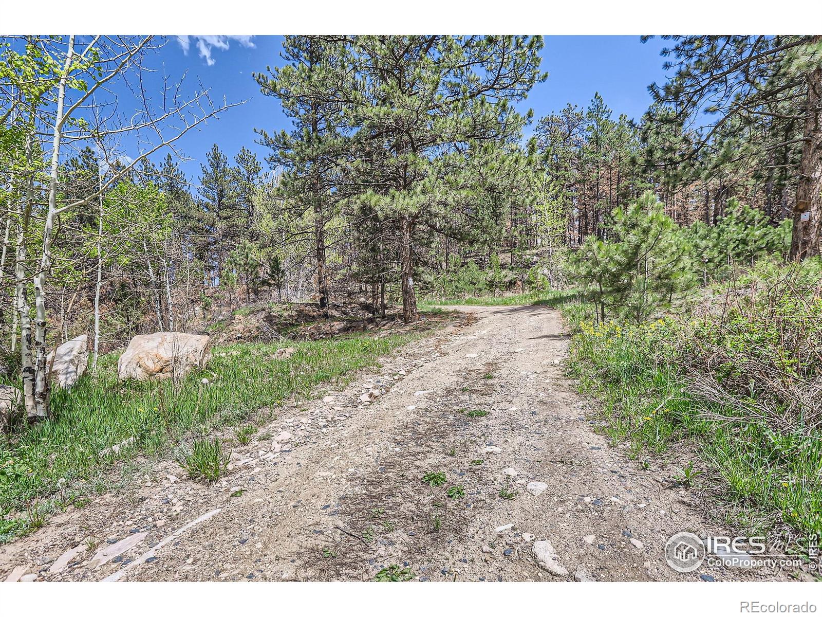 1448 Spruce Mountain Drive