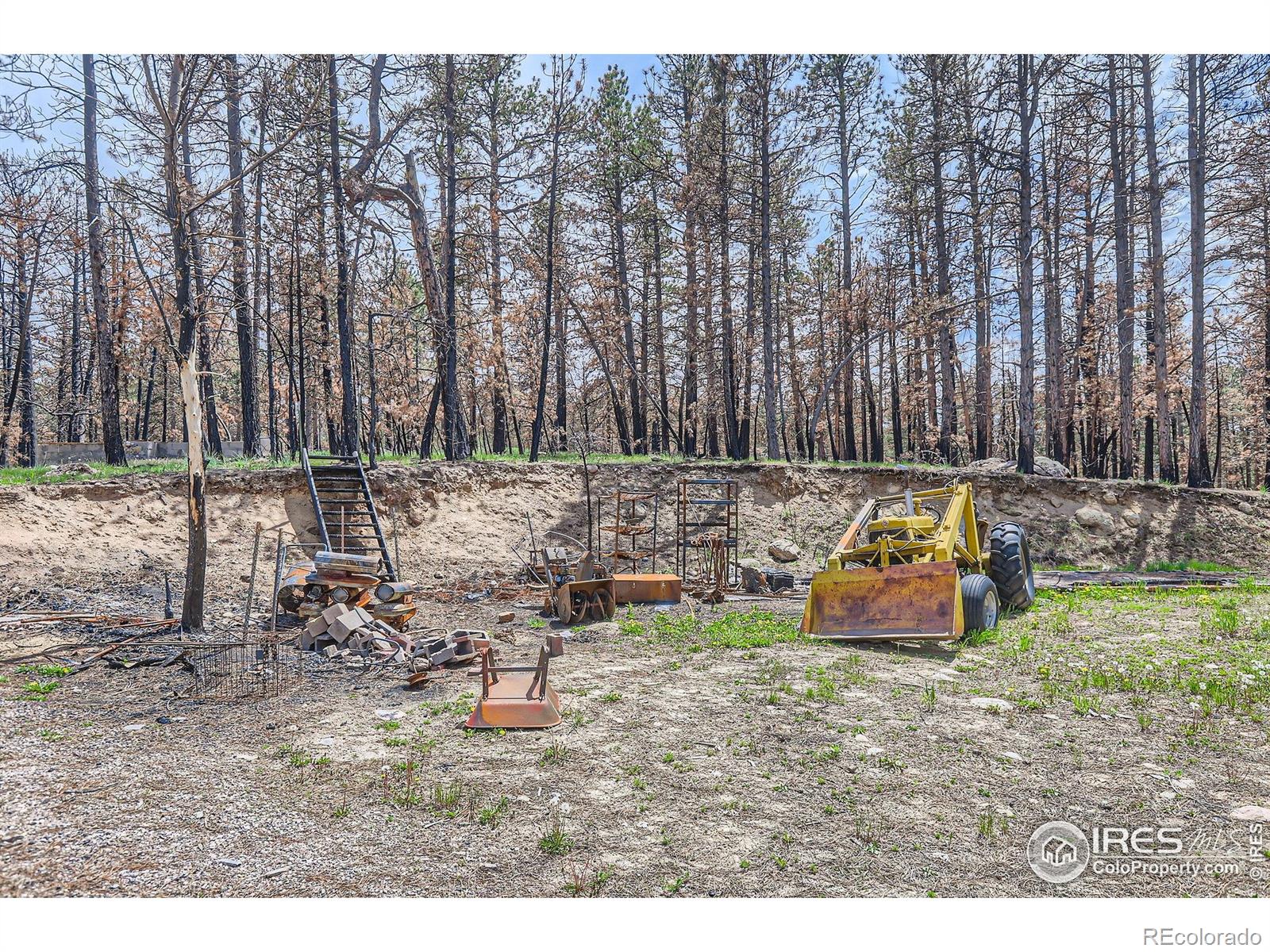 1448 Spruce Mountain Drive