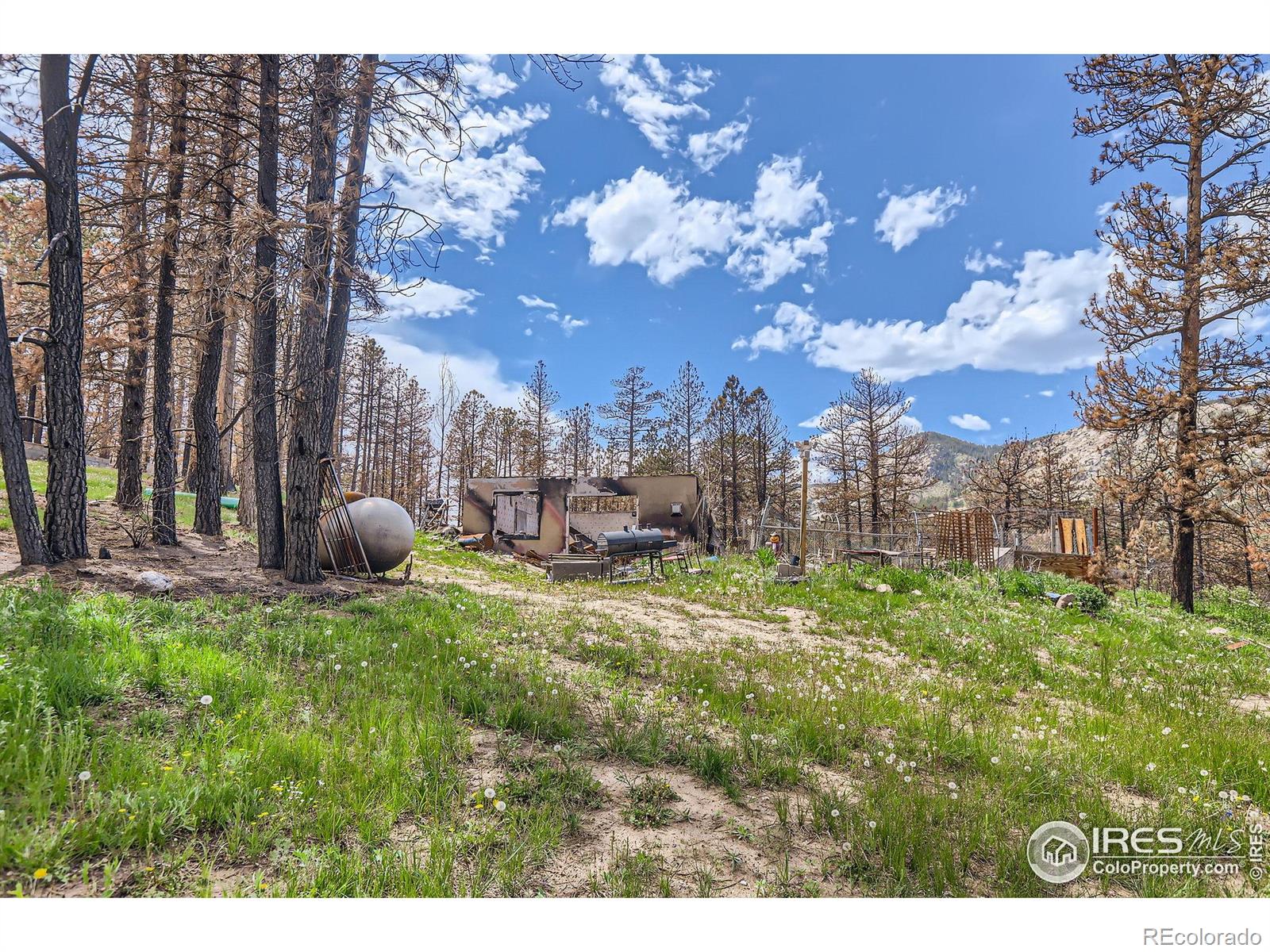 1448 Spruce Mountain Drive