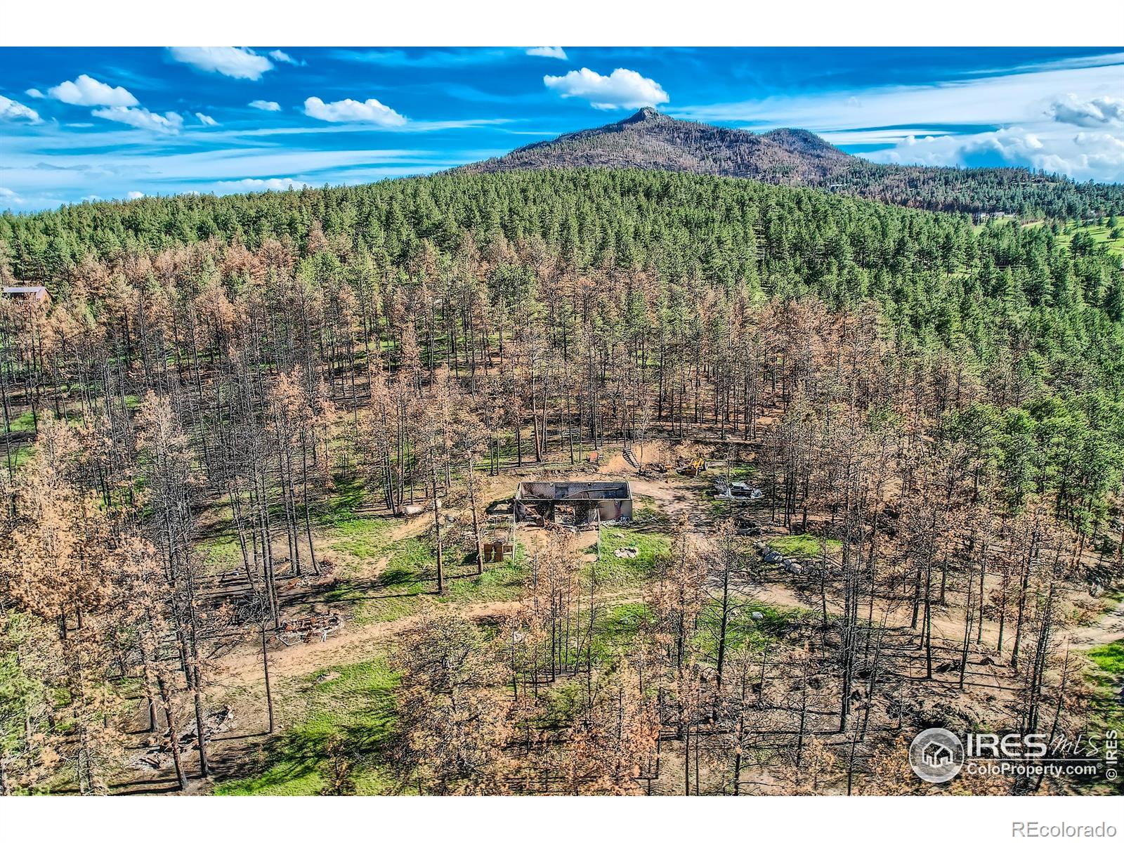 1448 Spruce Mountain Drive