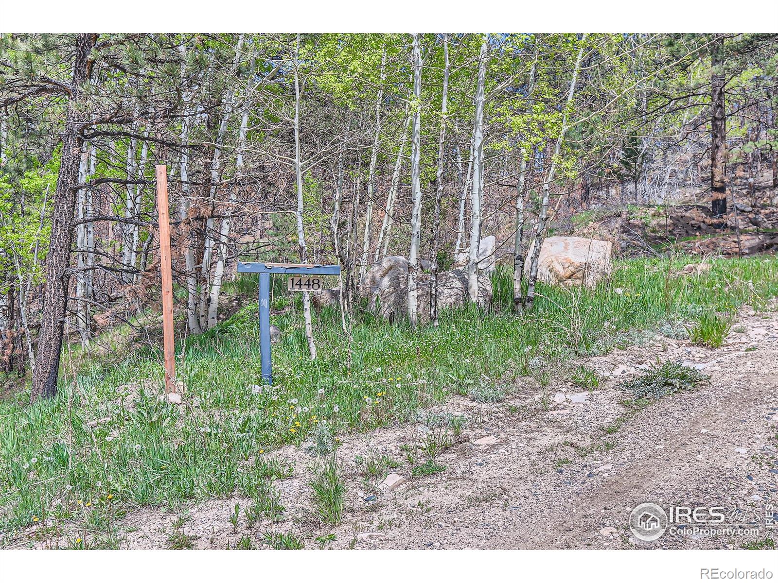 1448 Spruce Mountain Drive